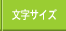 文字サイズ